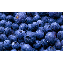 Glucose Premix Blue Berry - 4000g