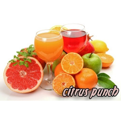 Glucose Premix Citrus punch - 4000g