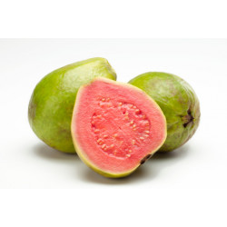 Glucose Premix Guava - 4000g