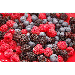 Glucose Premix Mix berries - 4000g