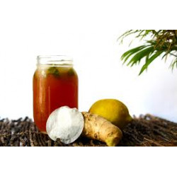 Ice Tea Premix Lemon Ginger Honey - 4000g