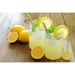 Lemonade Premix Lemon - 4000g