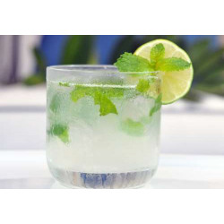 Lemonade Premix Virgin Mojito - 4000g